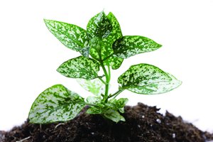 重试机制省钱攻略：花少钱办大事